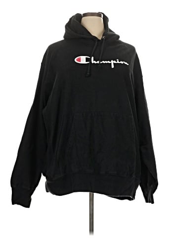 Champion Pullover Hoodie (view 1)