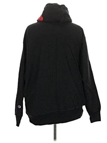 Champion Pullover Hoodie (view 2)