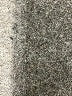 Calvin Klein Silver Short Sleeve Top Size S - photo 9
