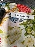 Rose + Olive 100% Polyester Floral Ivory Short Sleeve Blouse Size 2X - photo 7