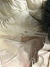 Stella + Lorenzo 100% Nylon Solid Tan Coat Size S - photo 8