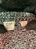 Gap Tweed Gray Pullover Sweater Size M - photo 7