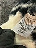 Ann Taylor LOFT 100% Nylon Houndstooth Ivory Pullover Sweater Size L - photo 8