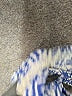Willow Chevron-herringbone Blue Two Piece Swimsuit Size S - photo 4