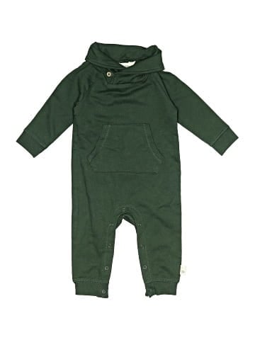 Burt's Bees Baby Long Sleeve Onesie (view 1)