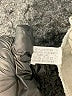 Unbranded Print Ivory Khakis Size XL - photo 4
