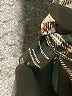 Timing 100% Cotton Plaid Gray Long Sleeve Button-Down Shirt Size S - photo 8
