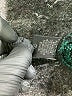 Cyrus Animal Print Green Pullover Sweater Size S - photo 8