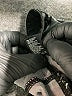 Hue Black Active Pants Size XL - photo 5