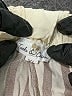 Assorted Brands Stripes Ivory Casual Pants Size XL - photo 7