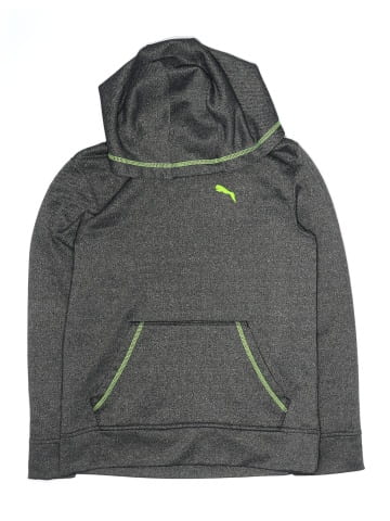 Puma Pullover Hoodie (view 1)