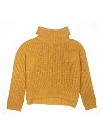 Zara Turtleneck Sweater (view 1)