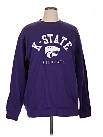 Champion Sweatshirt (view 1)