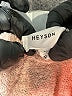 Heyson 100% Acrylic Pink Pullover Sweater Size S - photo 7