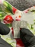 ASOS Floral Gray Cocktail Dress Size 12 - photo 7
