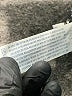 Forever 21 Solid Blue Jeans Size 27 waist - photo 8