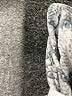 Express 100% Rayon Animal Print Ivory Shorts Size XS - photo 4