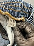 BDG 100% Cotton Blue Denim Shorts Size M - photo 4