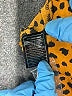 BB Dakota 100% Polyester Animal Print Orange Casual Dress Size 0 - photo 8