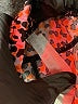 Fabletics Animal Print Orange Shorts Size S - photo 3