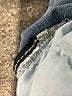 YMI Stars Blue Jeans Size XL - photo 8
