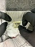 Assorted Brands Gray Khaki Shorts Size 5T - photo 3