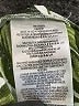 BCBGeneration Tropical Green Romper Size 6 - photo 5