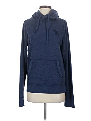 Abercrombie & Fitch Pullover Hoodie (view 1)