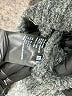 Uniqlo Tweed Gray Pullover Sweater Size S - photo 8