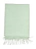 Coach Green Scarf One size - photo 2