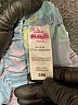 Disney Paisley Blue Shorts 18-24 MO / 24 MO - photo 3