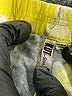Kut from the Kloth Print Yellow Shorts Size 8 - photo 3
