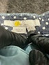 Boden Blue Casual Pants Size 4 - photo 7