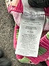 Disney Print Pink Shorts 9-12 MO / 12 MO - photo 4