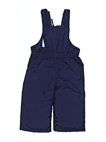 Rothschild Snow Pants With Bib (view 2)