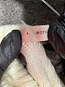 Moth Ivory Turtleneck Sweater Size XS (estimated) - photo 7