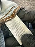 Ann Taylor LOFT Blue Jeans Size 14 - photo 5