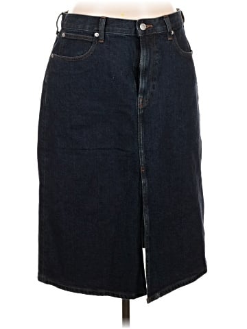 Everlane Denim Skirt (view 1)