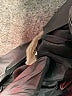 Shoshanna Solid Black Cocktail Dress Size 8 - photo 8