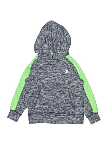 Champion Pullover Hoodie (view 1)