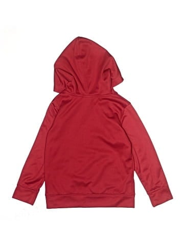 NFL Pullover Hoodie (view 2)
