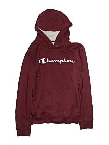 Champion Pullover Hoodie (view 1)