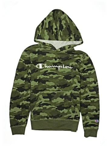 Champion Pullover Hoodie (view 1)