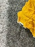 Bar III Yellow Short Sleeve Top Size XS - photo 8