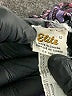 Elite Purple Long Sleeve Blouse Size 12 - photo 7