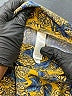 Lularoe Print Yellow Casual Pants Size S (kids) - photo 3