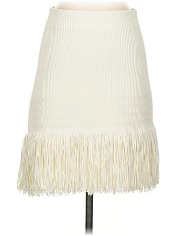 Express Casual Skirt (view 1)