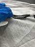 Mlle Gabrielle White Casual Dress Size 3X - photo 7