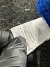 J.Crew Solid Blue Shorts Size 10 - photo 4
