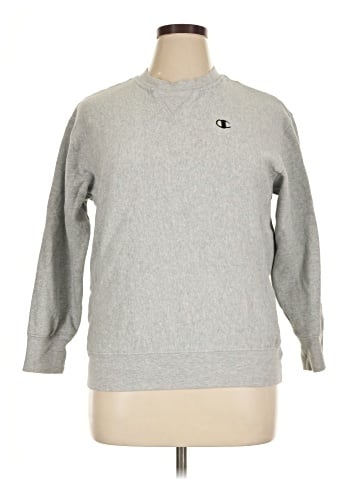 Champion Sweatshirt (view 1)